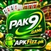 PAK9 Game